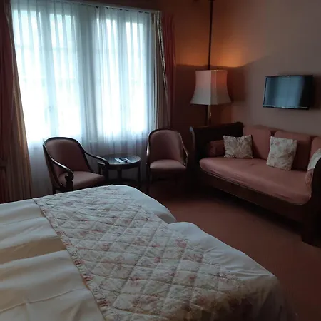 Regina Hotel 4*